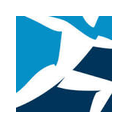 Boston Dynamics logo
