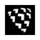 Shield AI logo